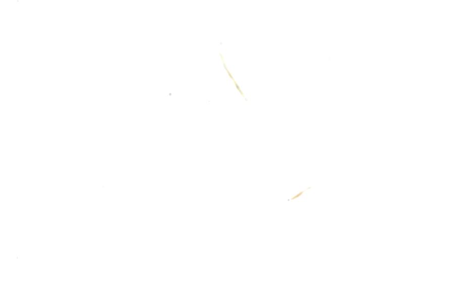 Image 47